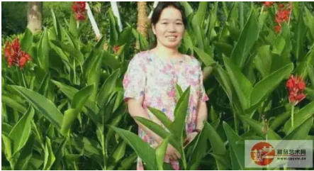 李海霞：科技与文化交融的跨界践行者