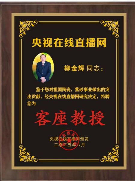 恭贺柳金辉先生被央视在线直播网特聘为客座教授